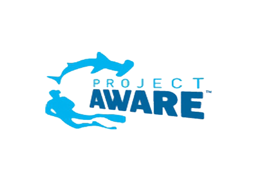 project.png