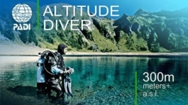 ALTITUDE DIVER