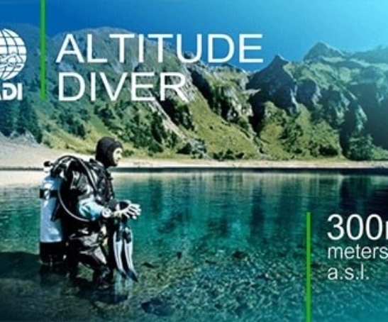 ALTITUDE DIVER