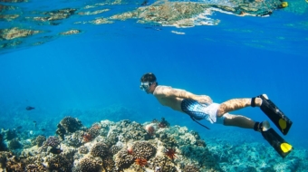 Discover Snorkeling