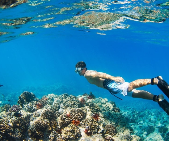 Discover Snorkeling