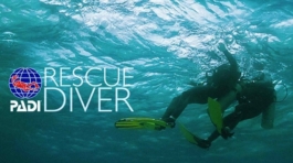 RESCUE DIVER
