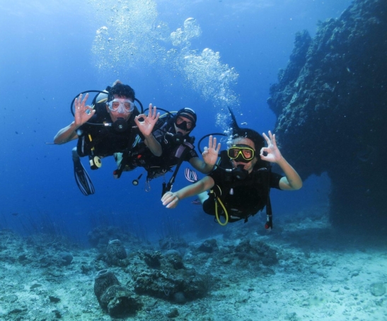 discover scuba dive